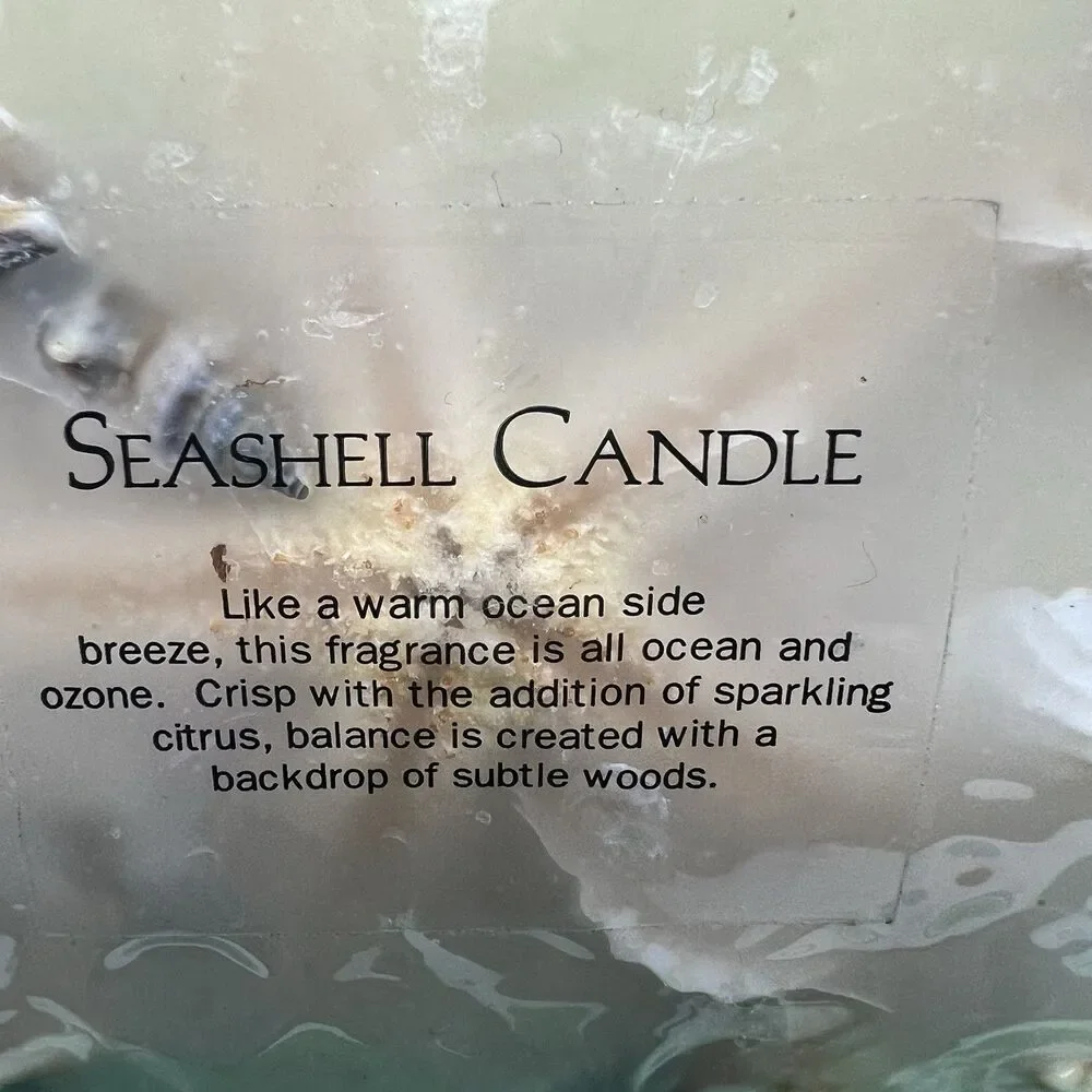 Vintage Sea Shell Pillar Candle Embedded Shells Norstrom at home ivory 4
